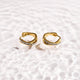 Crystal Twist Hoop Earrings