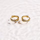 Crystal Twist Hoop Earrings