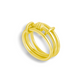 Endless Ring