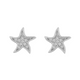 North Star Earrings - EVRYJEWELS
