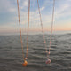 Shoreline Necklace
