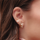 Opulent Earrings