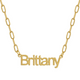 Custom/Personalized Paperclip Nameplate Necklace - EVRYJEWELS