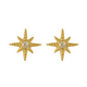 Radiant Star Earrings - EVRYJEWELS
