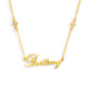 Custom/Personalized Nameplate with Gemstone Accents Necklace - EVRYJEWELS