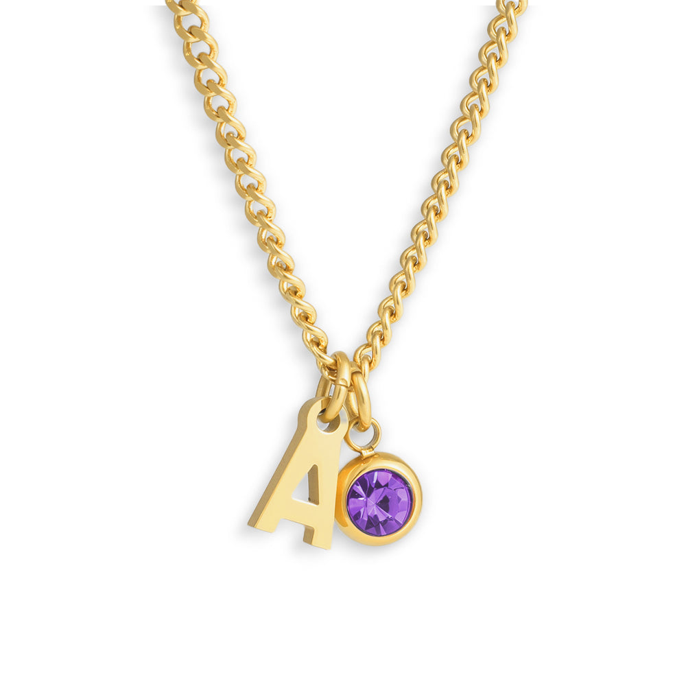 Custom/Personalized Initial Pendant Necklace w/ Birthstone - EVRYJEWELS