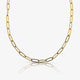 Link Up Necklace