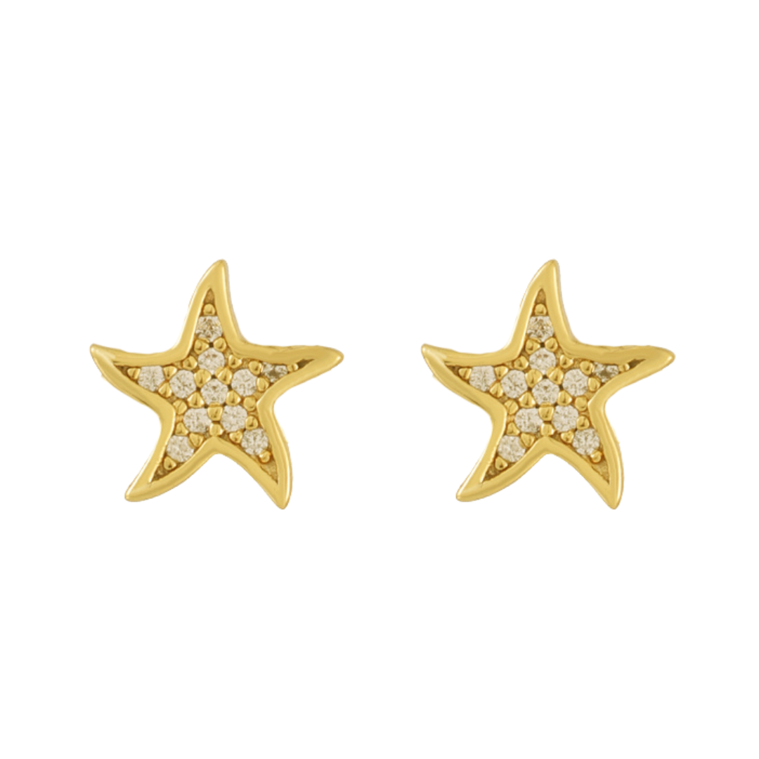 North Star Earrings - EVRYJEWELS