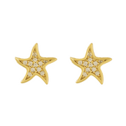 North Star Earrings - EVRYJEWELS