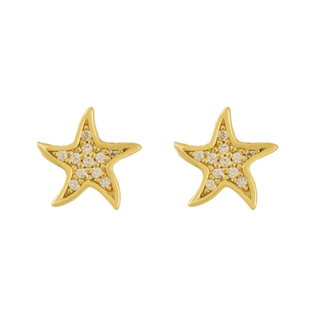 North Star Earrings - EVRYJEWELS