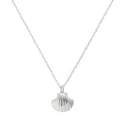 Seashell Necklace - EVRYJEWELS