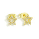 Starlit Dream Earrings - EVRYJEWELS