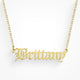 Custom/Personalized Nameplate Necklace - EVRYJEWELS
